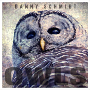 Owls album cover